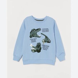 Toddler boy sweatshirt